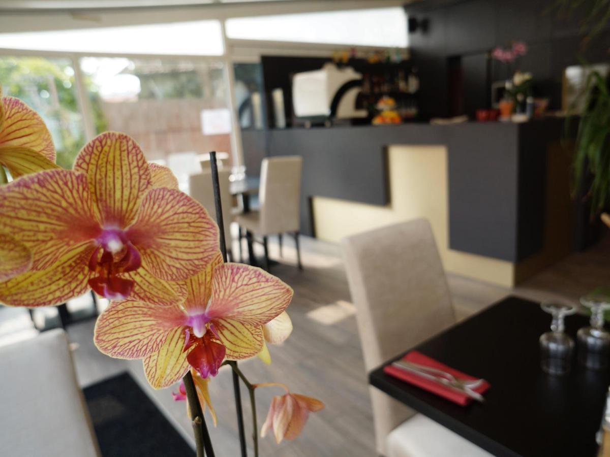 Hotel Et Studios Le Marina Baie De La Baule Pornichet Dış mekan fotoğraf